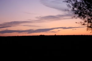 Sundown in Flanders